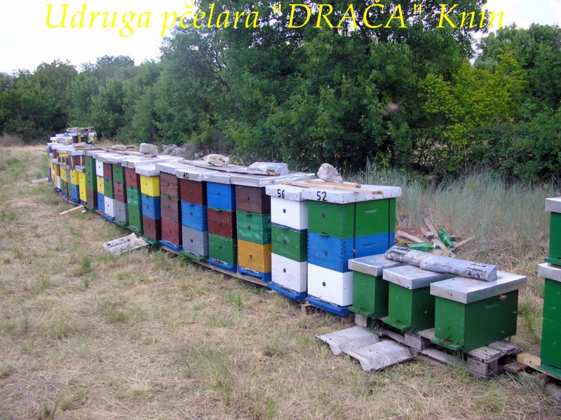 UP_Draca_Knin (12)